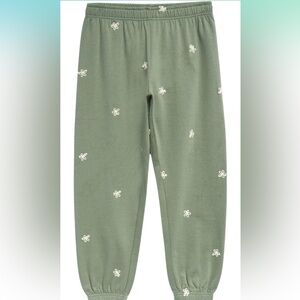 Splendid Green Jogger Pants Size 12
